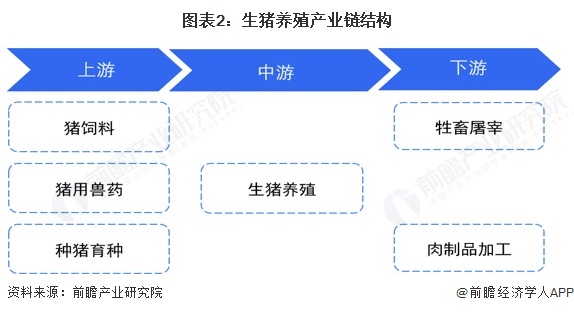图表2：生猪养殖产业链结构