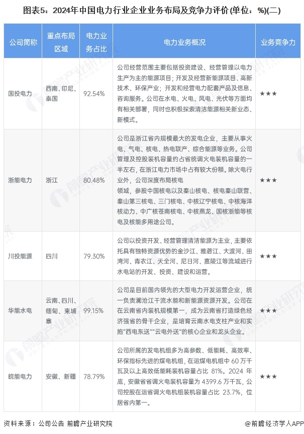 图表5：2024年中国电力行业企业业务布局及竞争力评价(单位：%)(二)