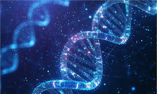 18个项目立项！上海发布2025年度关键<em>技术</em>研发计划“合成生物学”项目立项通知【附合成生物学行业发展趋势】