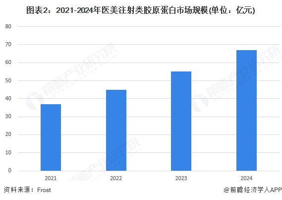 图表2：2021-2024年医美注射类胶原蛋白市场规模(单位：亿元)