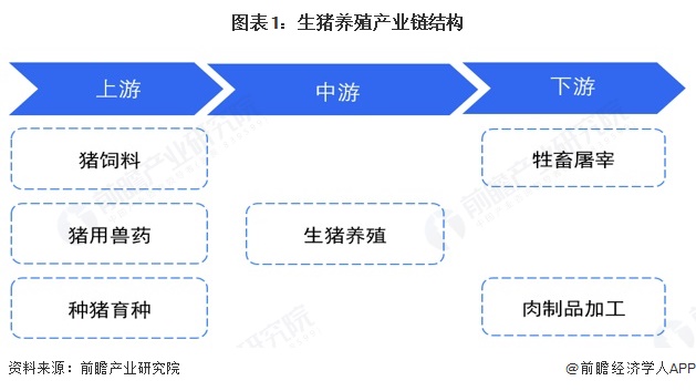 图表1：生猪养殖产业链结构