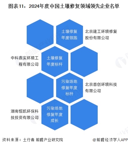 圖表11：2024年度中國土壤修復領域領先企業名單