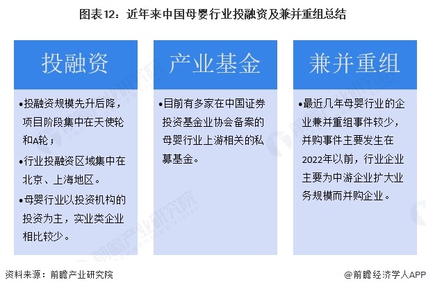 圖表12：近年來中國母嬰行業投融資及兼并重組總結