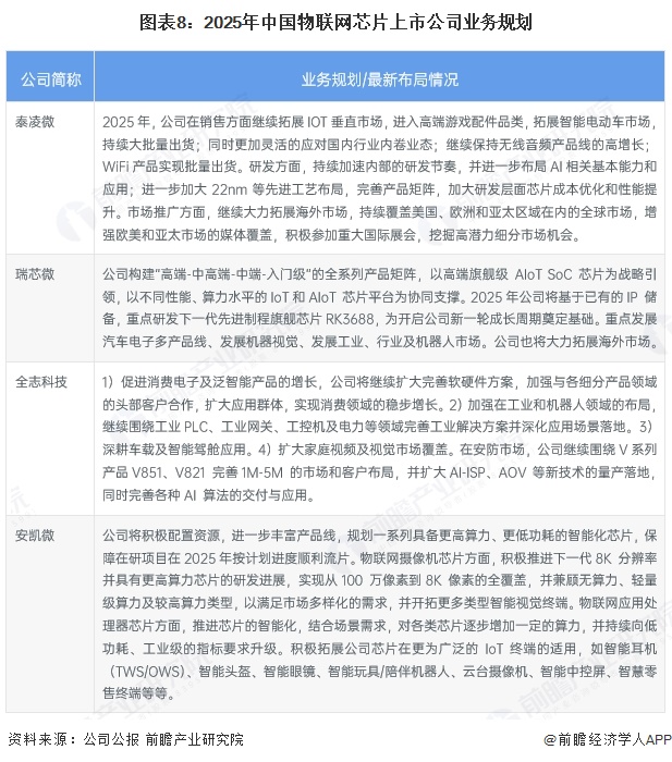 图表8：2025年中国物联网芯片上市公司业务规划