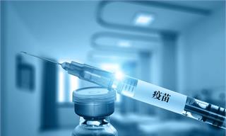 重磅消息！瑞普<em>生物</em>获得国内首个经济<em>动物</em>用mRNA<em>疫苗</em>临床批件【附<em>动物</em><em>疫苗</em>行业市场分析】