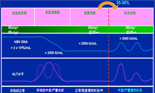乙肝“特效药”的千亿战局
