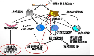 GSK全指着恒瑞了