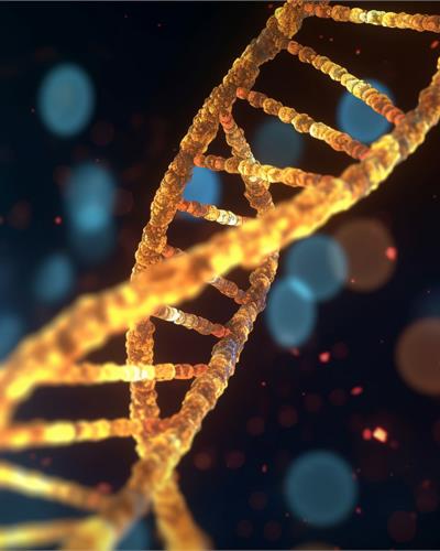 未来10年再造一个中国高技术产业，生物制造重磅入选“十五五规划”未来产业【附合成生物学行业市场分析】