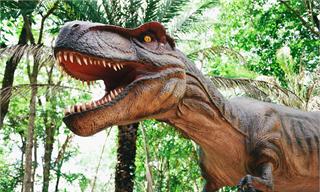 科學家預測：未來人類或許有可能“復活”恐龍，但并非與遠古物種完全相同【附基因編輯技術分析】