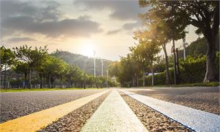 极端高温攀升!世界气象组织:2025年将成为有记录以来第二或第三热年份【附全球碳排放市场分析】