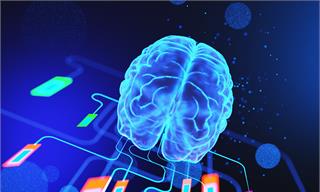 中科院院士陆林：我国脑机接口临床反超马斯克，未来<em>芯片</em>植入大脑可直接获取知识【附脑机接口行业市场分析】