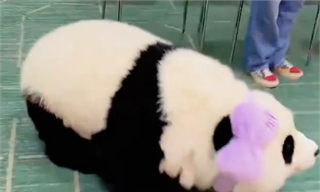 暴涨20700%!2026年第一个爆发的行业,出现了