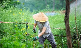 马斯克大胆预测：生成<em>式</em>AI发展将让金钱失去意义，未来10到20年人类将不再需要工作【附生成<em>式</em>AI行业市场分析】