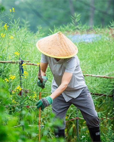马斯克大胆预测：生成式AI发展将让金钱失去意义，未来10到20年人类将不再需要工作【附生成式AI行业市场分析】