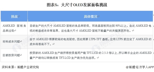 图表5：大尺寸OLED发展面临挑战