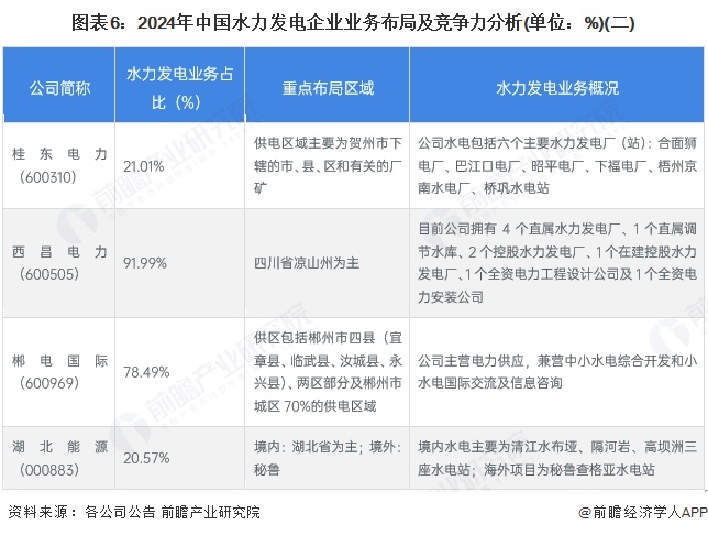 图表6:2024年中国水力发电企业业务布局及竞争力分析(单位:%)(二)