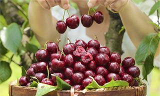 今年比去年还便宜！车厘子价格大跳水：较月初降20%-30%，专家称还会再降【附中国水果产业进口分析】