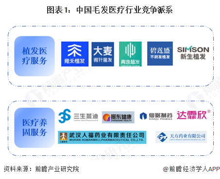 图表1:中国毛发医疗行业竞争派系
