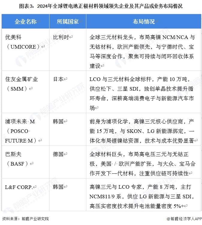 图表3：2024年全球锂电池正极材料领域领先企业及其产品或业务布局情况
