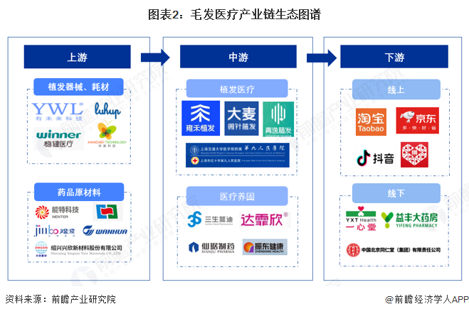 图表2：毛发医疗产业链生态图谱