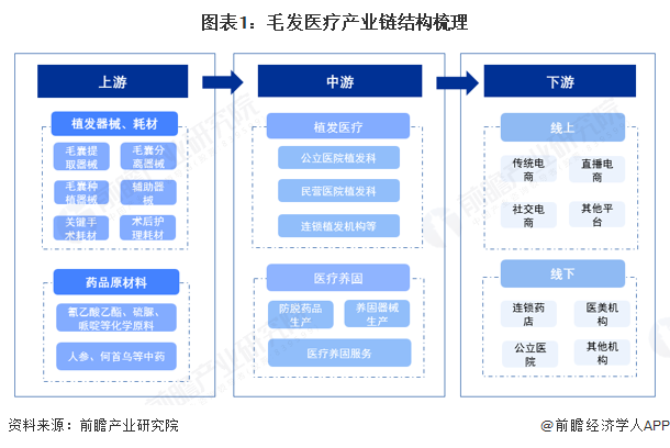 图表1：毛发医疗产业链结构梳理