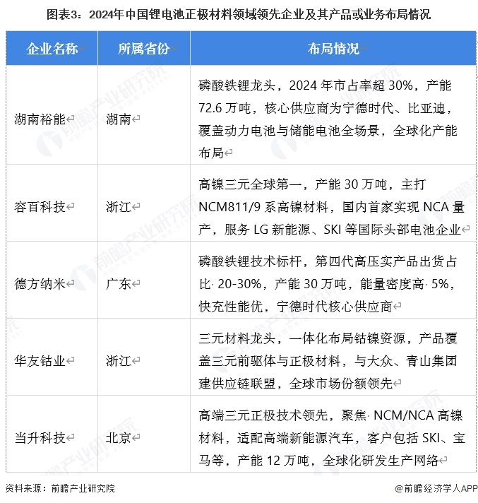 图表3：2024年中国锂电池正极材料领域领先企业及其产品或业务布局情况