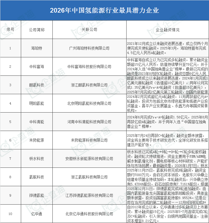 2025年中国十大氢能源行业