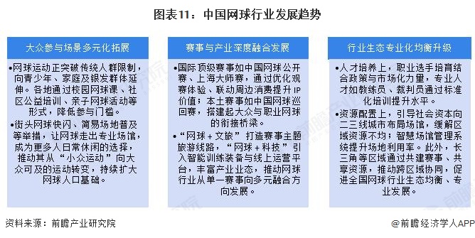 图表11：中国网球行业发展趋势