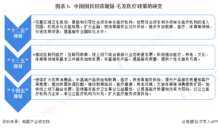 图表1：中国国民经济规划-毛发医疗政策的演变