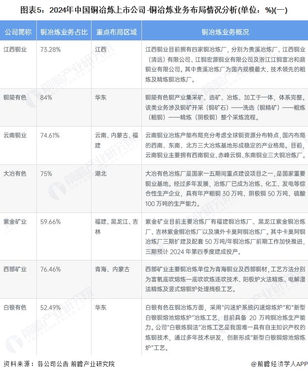 图表5：2024年中国铜冶炼上市公司-铜冶炼业务布局情况分析(单位：%)(一)