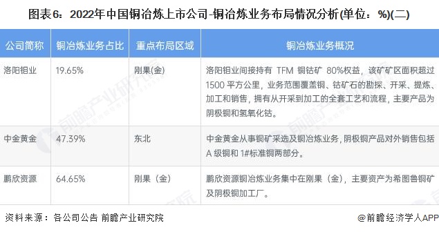 图表6：2022年中国铜冶炼上市公司-铜冶炼业务布局情况分析(单位：%)(二)