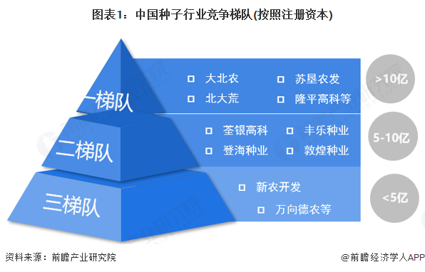 图表1：中国种子行业竞争梯队(按照注册资本)