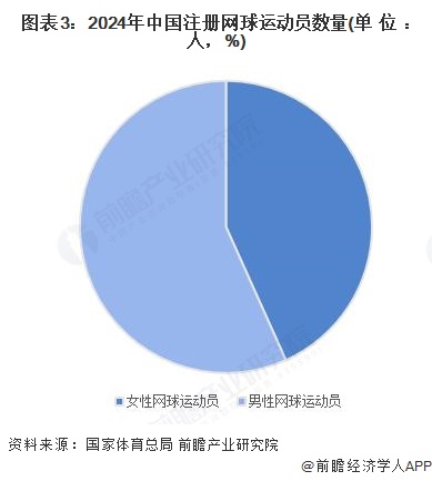 图表3：2024年中国注册网球运动员数量(单位：人，%)