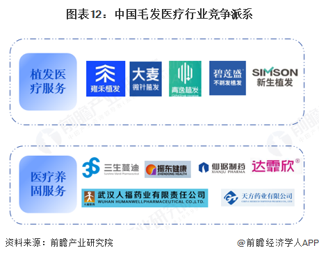图表12:中国毛发医疗行业竞争派系