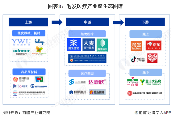 图表3:毛发医疗产业链生态图谱