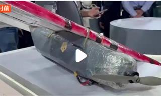 荒谬至极！印度大学展出泡沫塑料无人机被赶出峰会