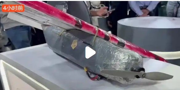 荒谬至极!印度大学展出泡沫塑料无人机被赶出峰会