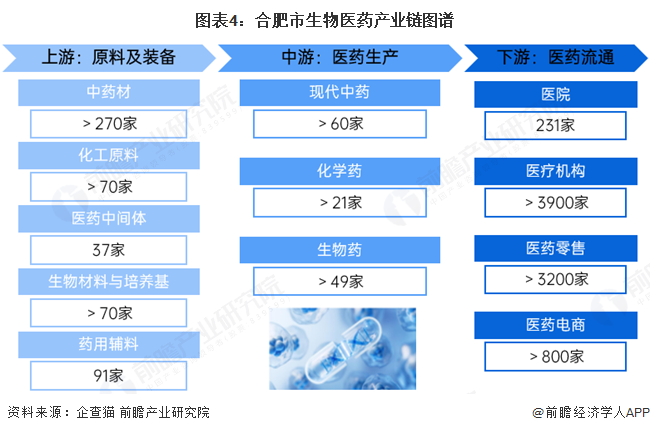 图表4：合肥市生物医药产业链图谱