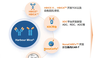 CTLA-4重回牌桌，和鉑醫藥坐上“C位”