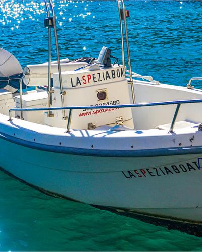 豪擲50億元進軍游艇產業！劉強東放話：希望造出售價10萬元游艇，像汽車一樣，讓普通家庭也能用得起【附游艇產業分析】