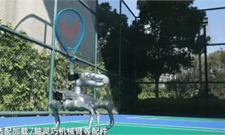 宇树科技发布四足机器人：性能为Go2两倍，复杂地形自由穿行【附四足机器人行业市场分析】