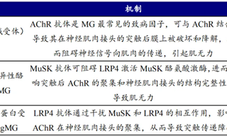 “雪花人”的春天