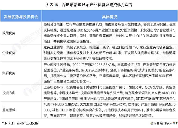 图表16：合肥市新型显示产业优势及投资机会总结