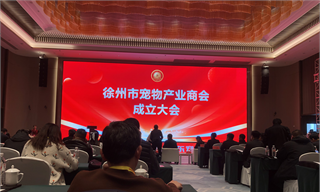 2026开局即巅峰！这座长三角黑马城市，正在定义什么是“产业极致执行力”