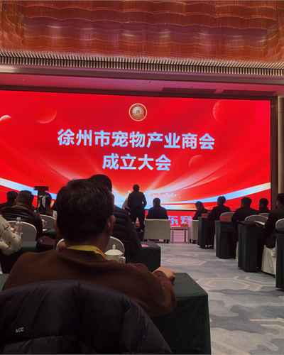 2026开局即巅峰！这座长三角黑马城市，正在定义什么是“产业极致执行力”