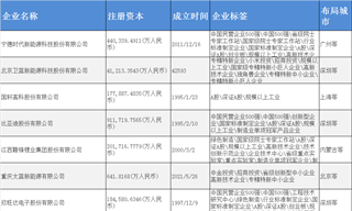 固態(tài)電池產(chǎn)業(yè)招商清單：寧德時代、衛(wèi)藍新能源、國軒高科等最新投資動向【附關(guān)鍵企業(yè)名錄】