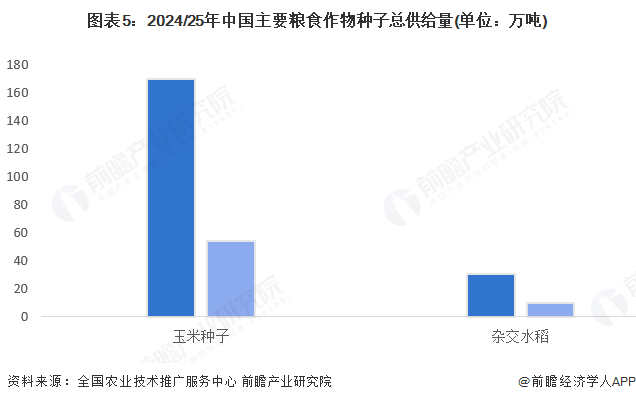 图表5：2024/25年中国主要粮食作物种子总供给量(单位：万吨)