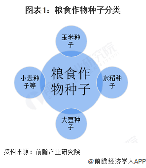 图表1：粮食作物种子分类