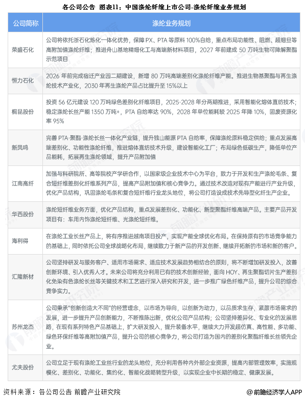 图表11：中国涤纶纤维上市公司-涤纶纤维业务规划