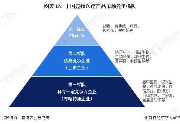 图表12：中国宠物医疗产品市场竞争梯队